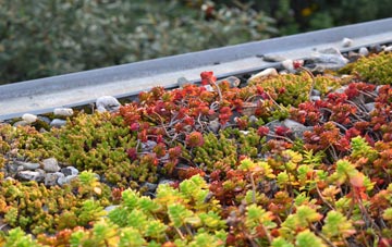 the cost of Rosetta green roof installation
