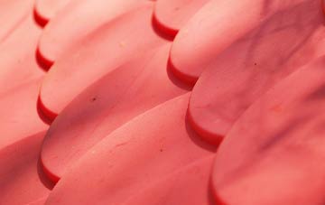 Rosetta plastic roof costs