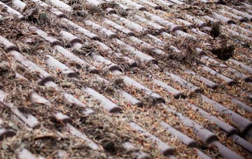 Rosetta roof cleaning companies