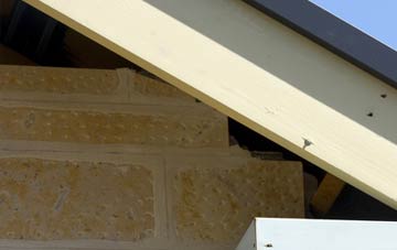 soffit repair Rosetta