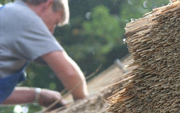 professional Rosetta thatchers