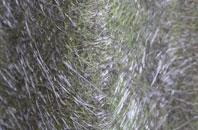 Rosetta fibreglass roof work